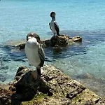 Relax A Pochi Passi Dal Mare E Dai Fenicotteri Quartu Sant'Elena