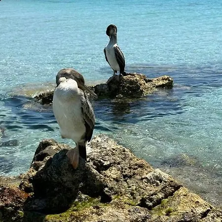 Relax A Pochi Passi Dal Mare E Dai Fenicotteri Quartu SantʼElena